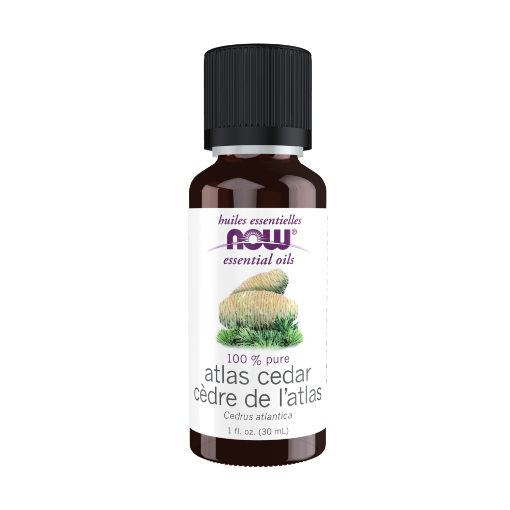 Maintenant - Huiles essentielles Huile de cèdre de l'Atlas 100 % pure, 1 oz 30 ml