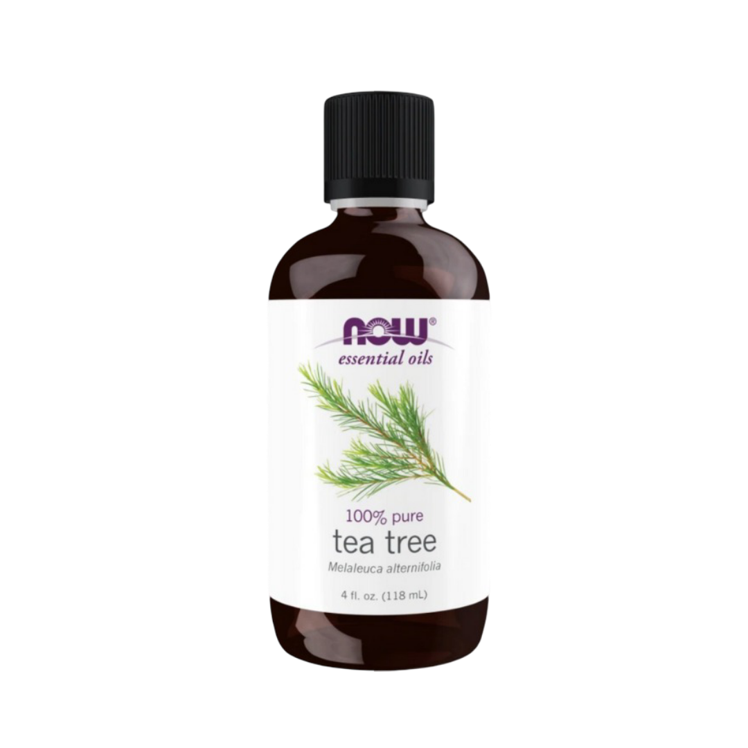 Now - Essential Oils - Tea Tree Oil, 4 Ounce (Pack of 3)