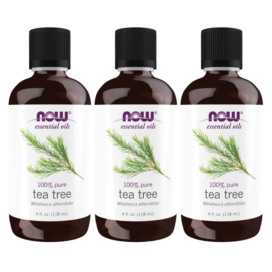 Now - Essential Oils - Tea Tree Oil, 4 Ounce (Pack of 3)