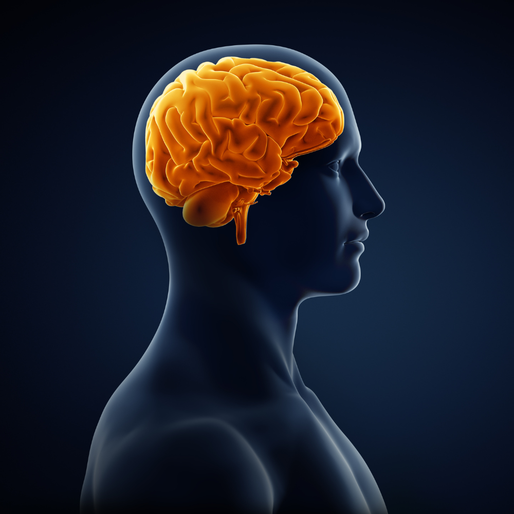Keep Your Mind Sharp with Jarrow Formulas' Cognizin Citicoline