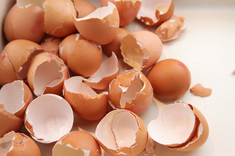 How Eggshell Membrane Can Support Stiff Joints & Joint Pain