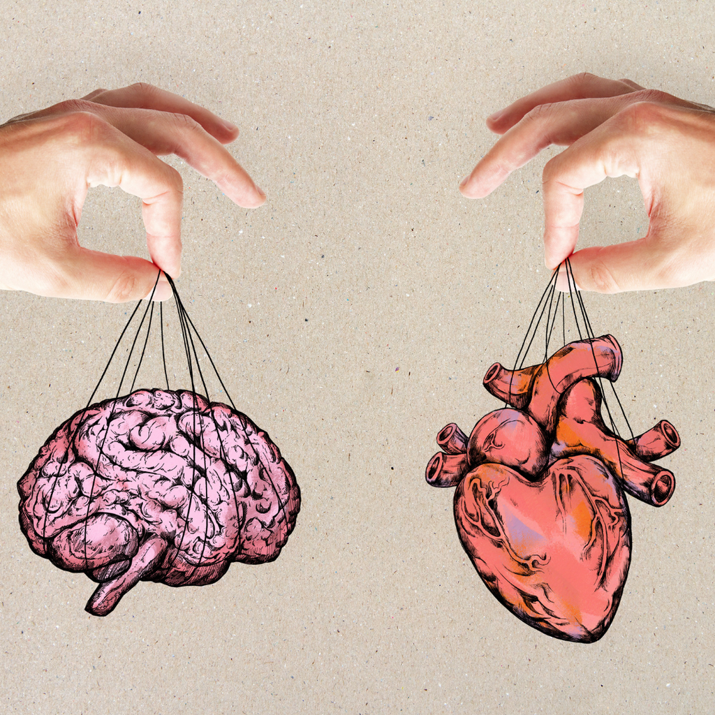 How Brain & Heart Health Are Connected