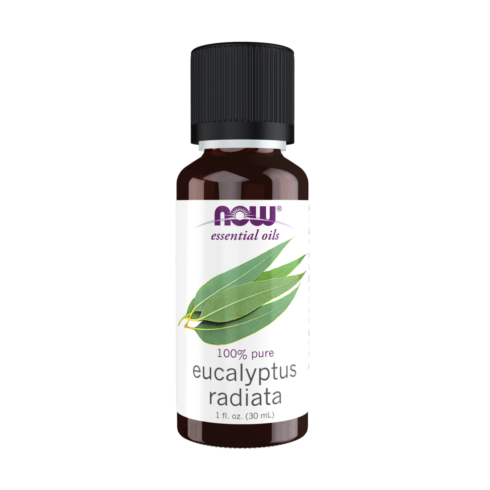 Maintenant - Huiles essentielles Huile d'eucalyptus radiata 100 % pure, 1 oz 30 ml 