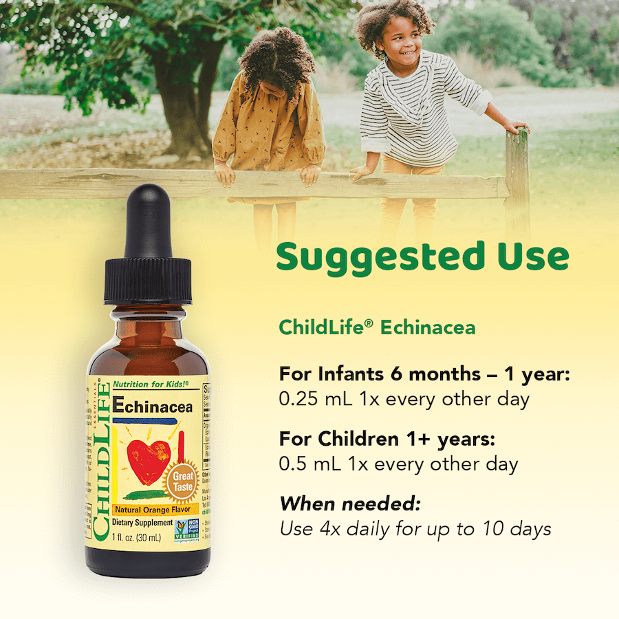 Childlife - Echinacea